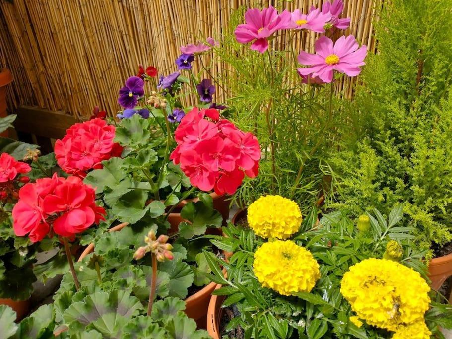 The Boutique York Garden Studio エクステリア 写真